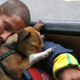 dogs-optimism-3